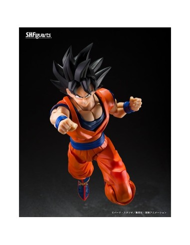 PREVENTA DRAGON BALL Z SON GOKU KIND - HEARTED...