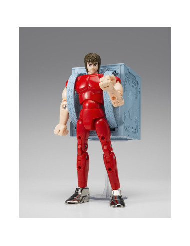 PREVENTA SAINT CLOTH PEGASUS FIRST BRONZE CLOTH...